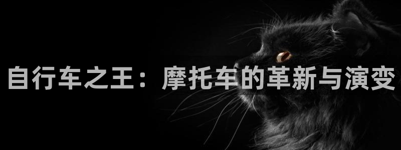 bbin视讯下