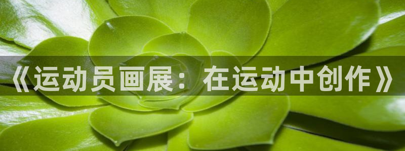 bbin视讯游戏官网