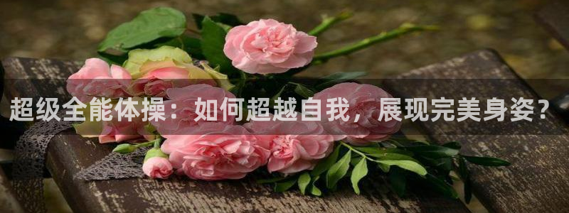 bbin视讯游戏平台：超级全能体操：如何超越自我，展现完美身姿？