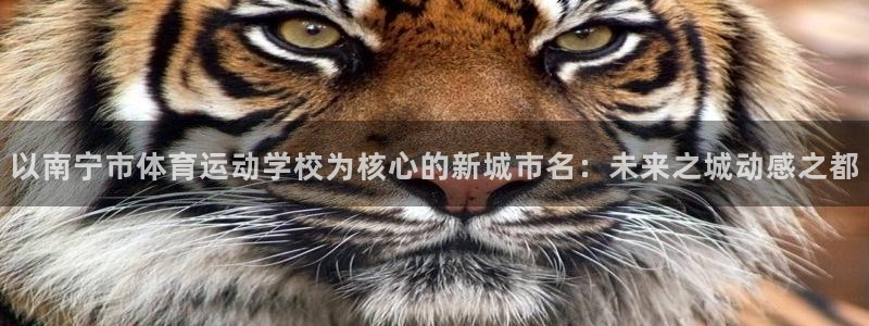 bbin视讯