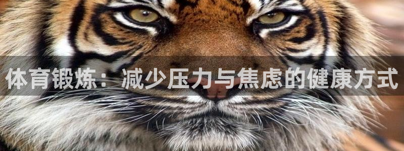 bbin视讯下