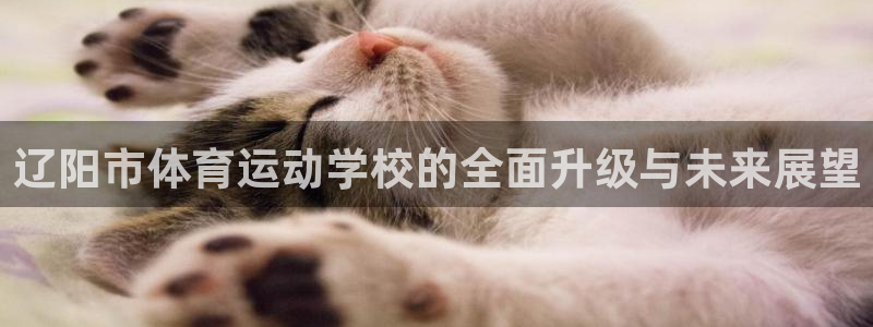 bbin视讯下：辽阳市体育运动学校的全面升级与未来展望