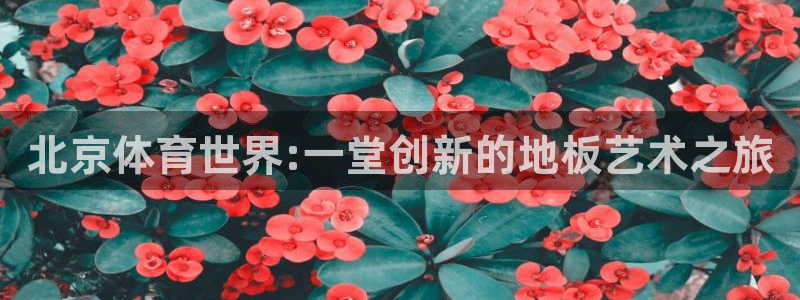 bbin视讯游戏平台：北京体育世界:一堂创新的地板艺术之旅